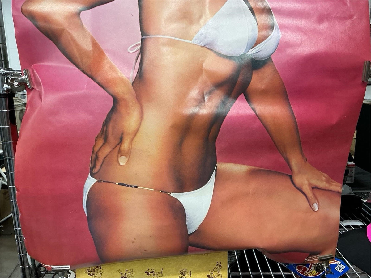 Vintage Loni Anderson Bikini Pin-Up Poster Pink Background Large 1970s 1980s – photo 3