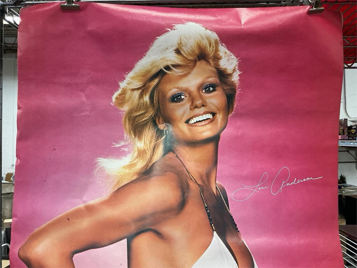 Vintage Loni Anderson Bikini Pin-Up Poster Pink Background Large 1970s 1980s – photo 2